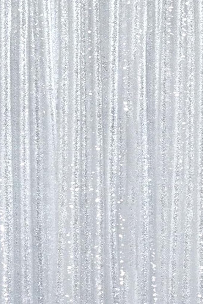 Silver Sequin photo booth backdrop