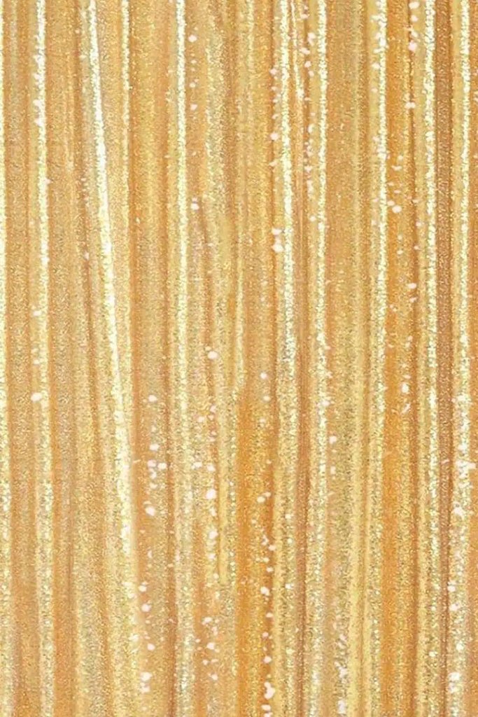 Gold Sequin photo booth backdrop