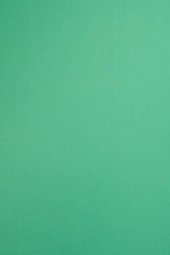 Chroma Green photo booth backdrop