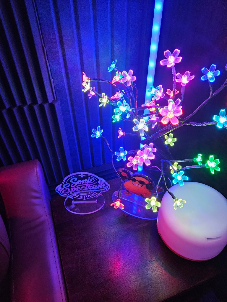 Sonic Spectrum private DJ booth interior Southwest Miami