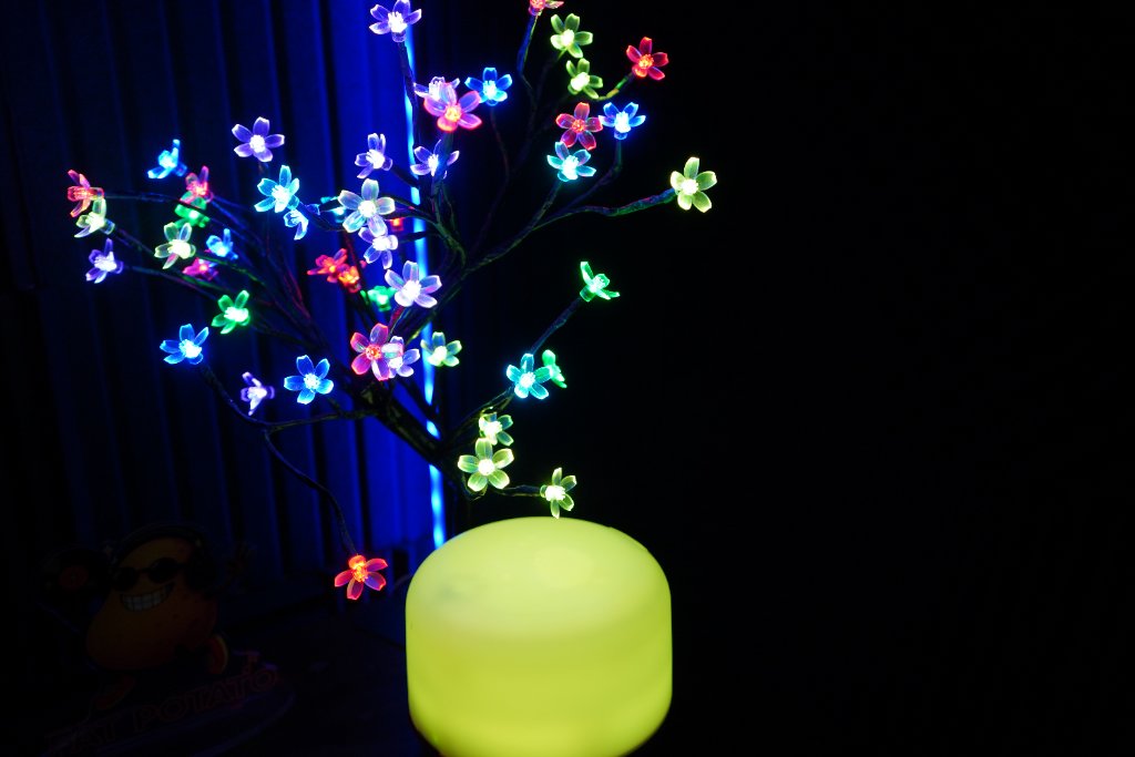 Spectrum Blossom