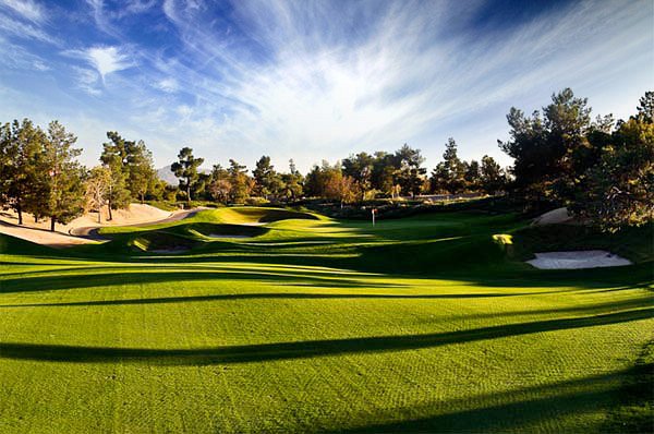 Desert Pines