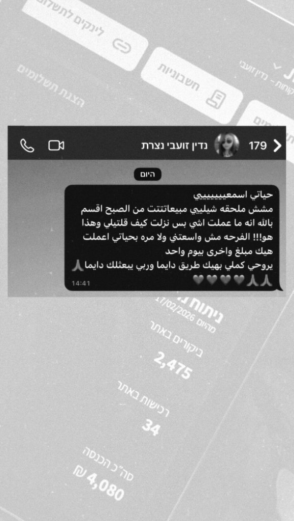 המלצה 13