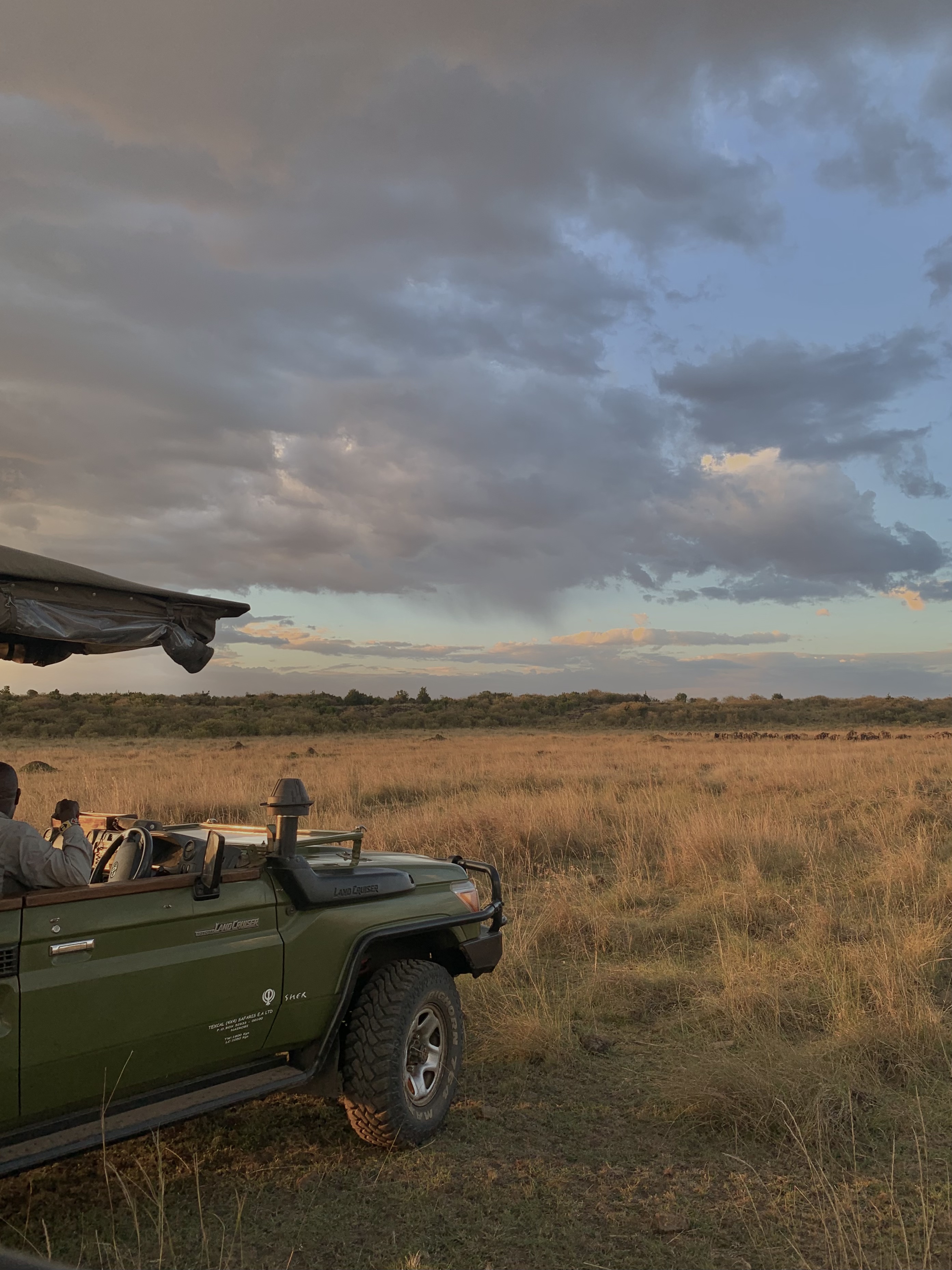 Exceptional Wild Kenya