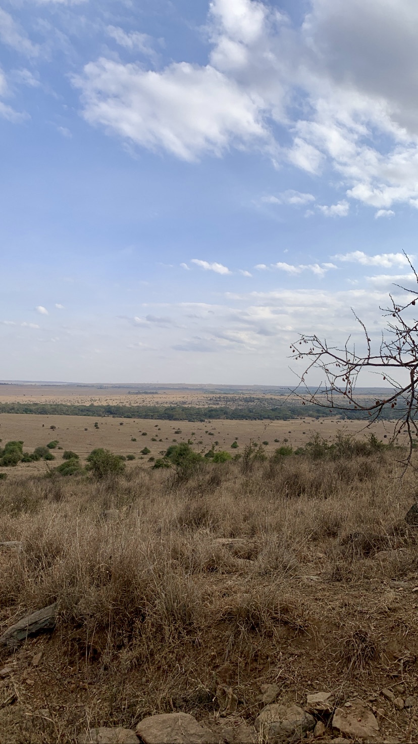 Signature East Africa