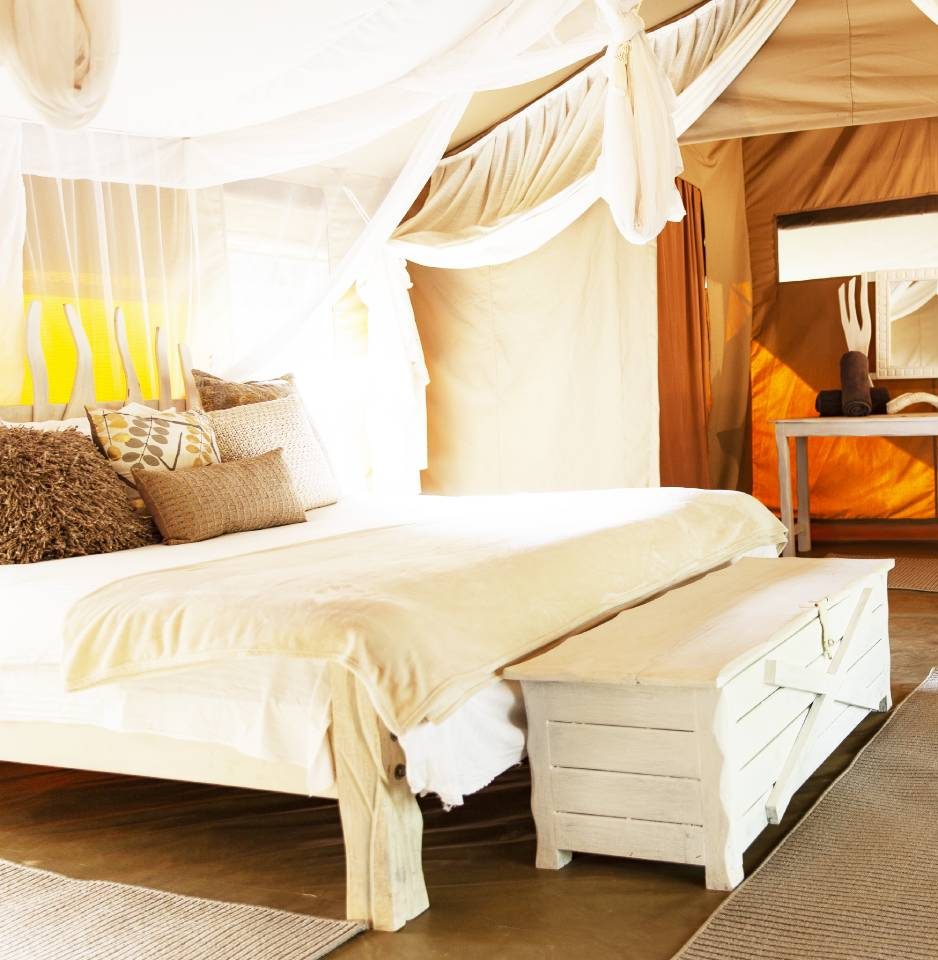 KIPEKEE Honeymoon
