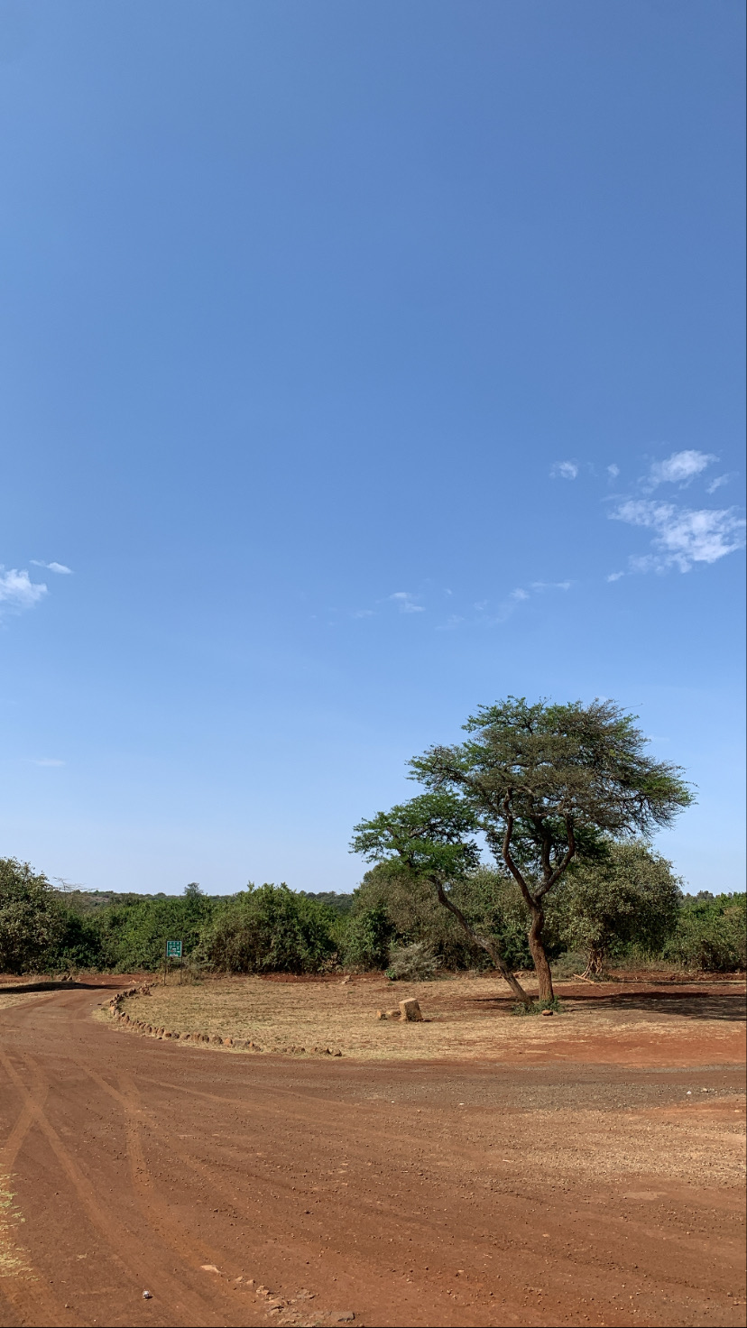 Amboseli and the Maasai Mara