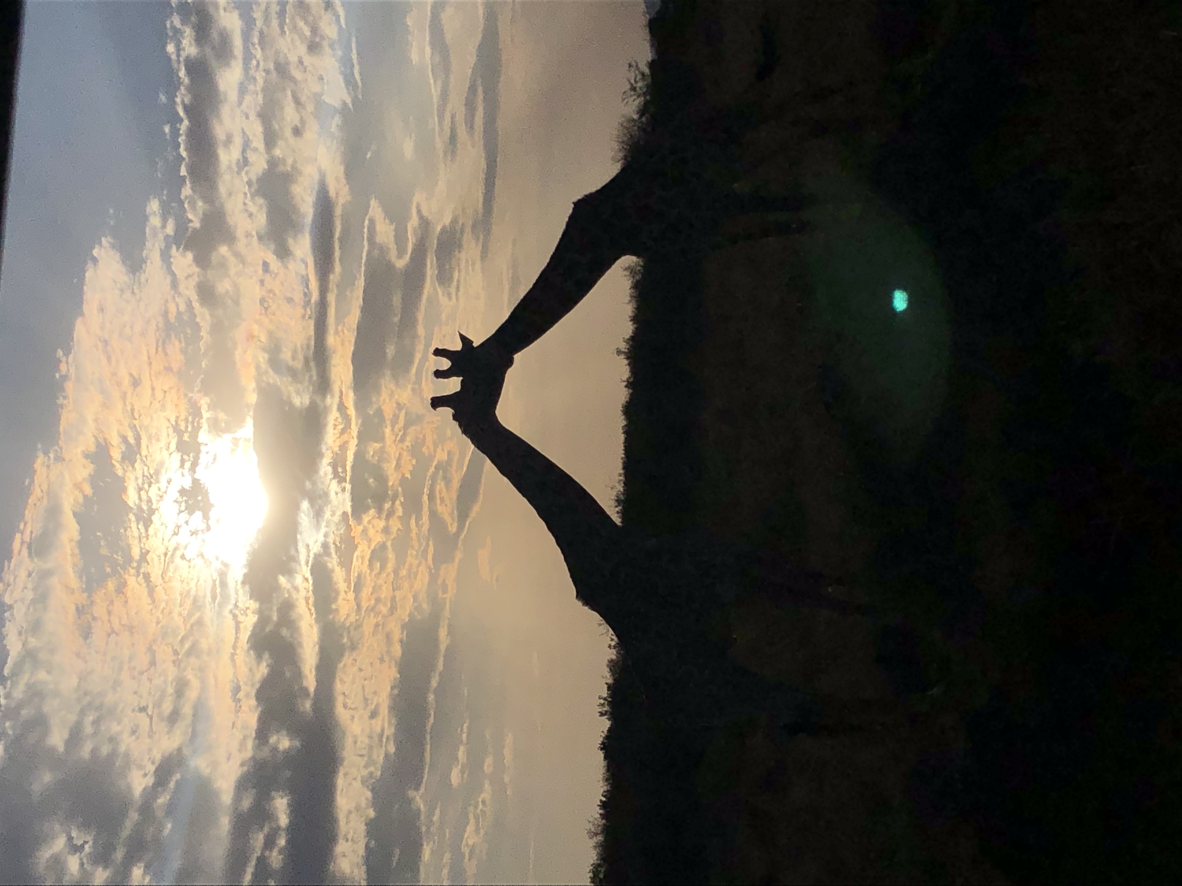 East African wilderness at golden hour