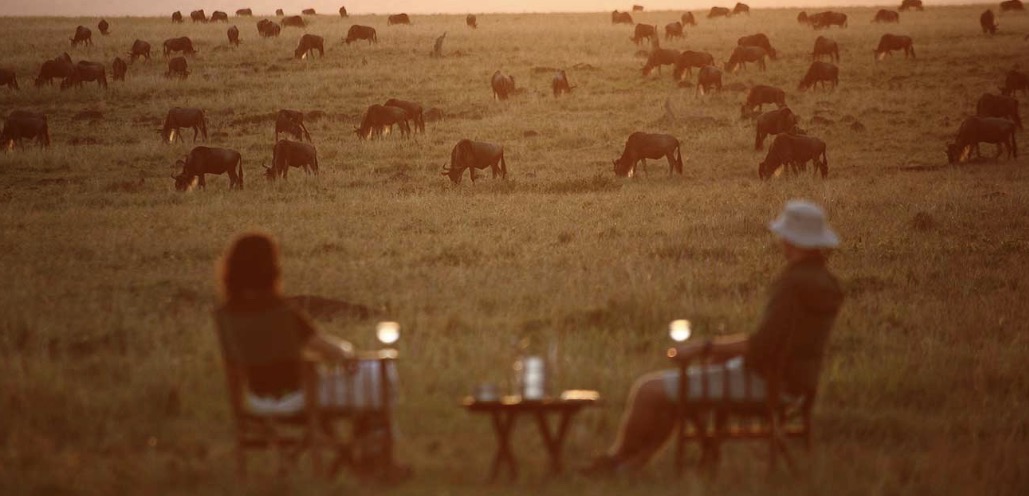 Wildebeest herd moving across the savanna at sunset