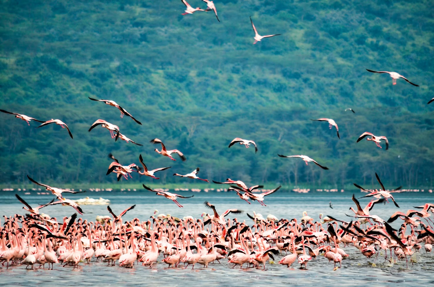 The Great Rift and the Mara
