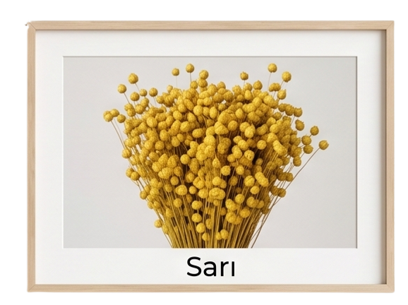 sarı keten otu