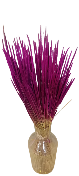 Kuru çiçek 