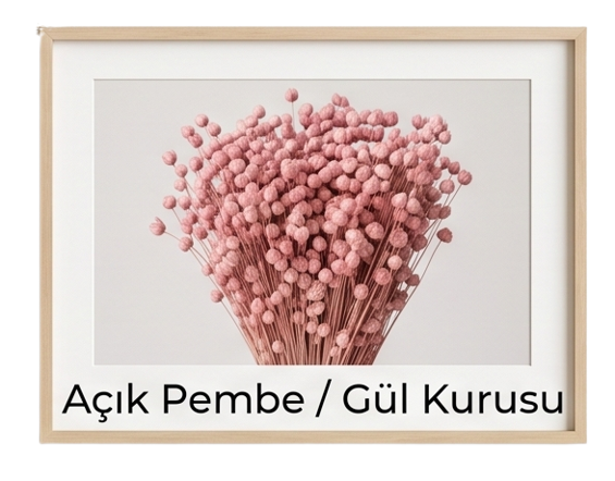 pembe keten otu