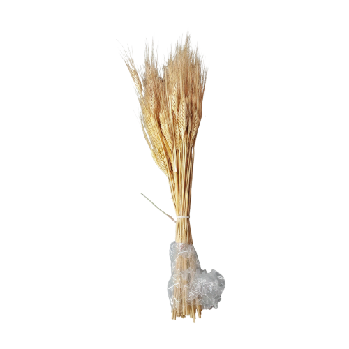 Kuru başak