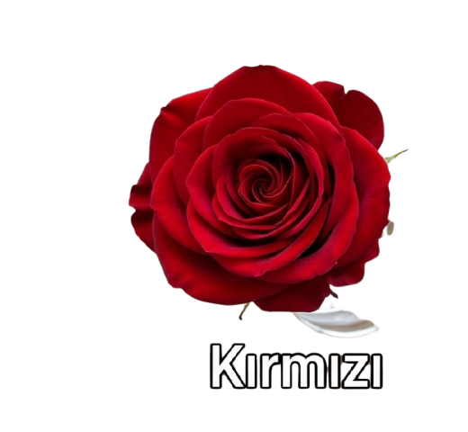 gül