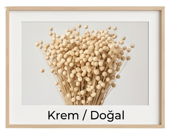 krem keten otu