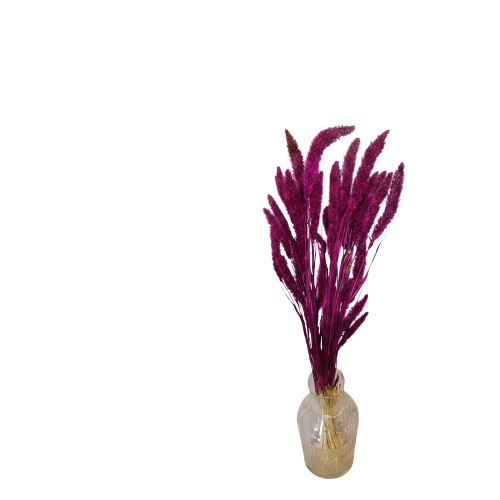 Kuru çiçek 