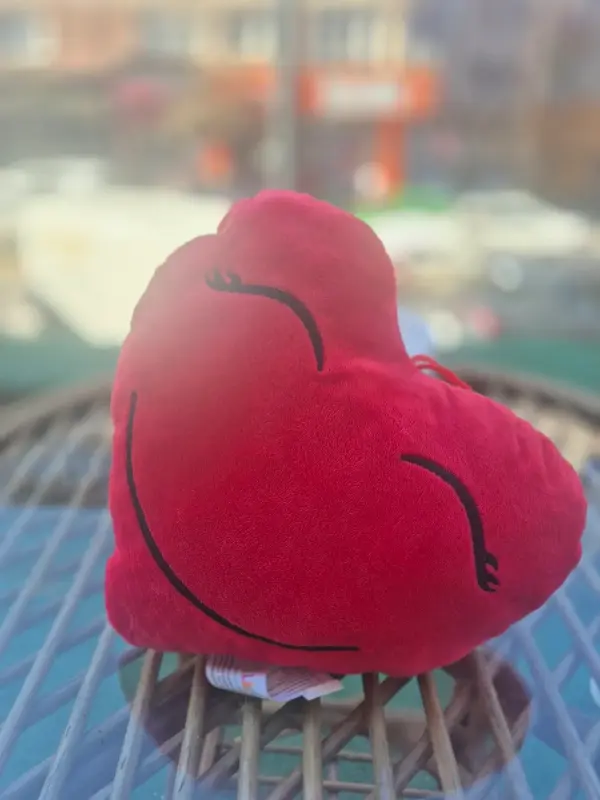 Kırmızı Peluş Kalp Uyuyan Yastık