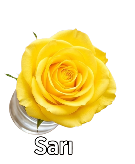 gül