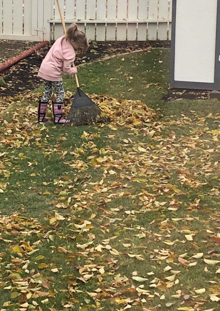 Fall Clean Ups