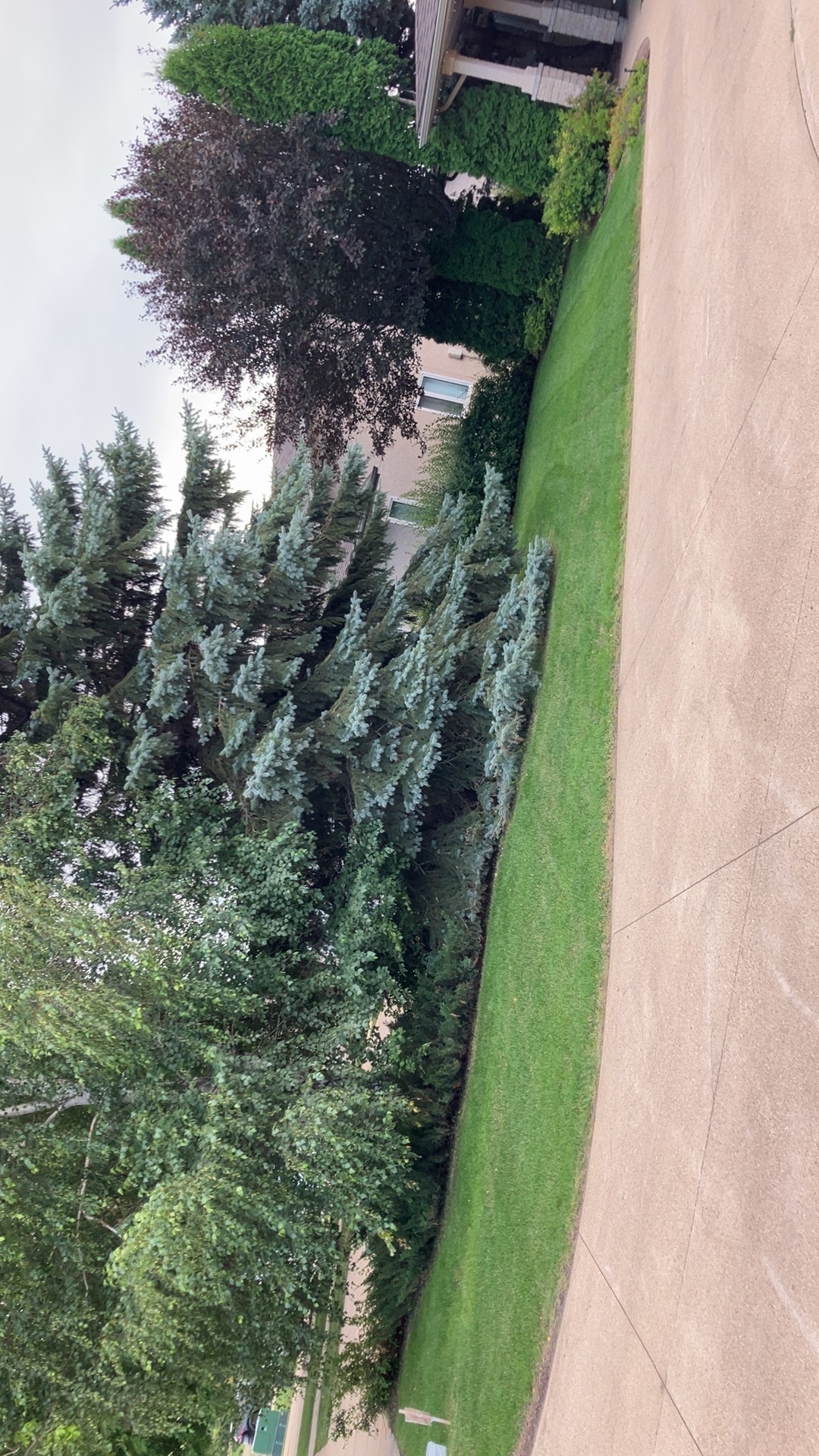 Manicured Lawns Is What We Do