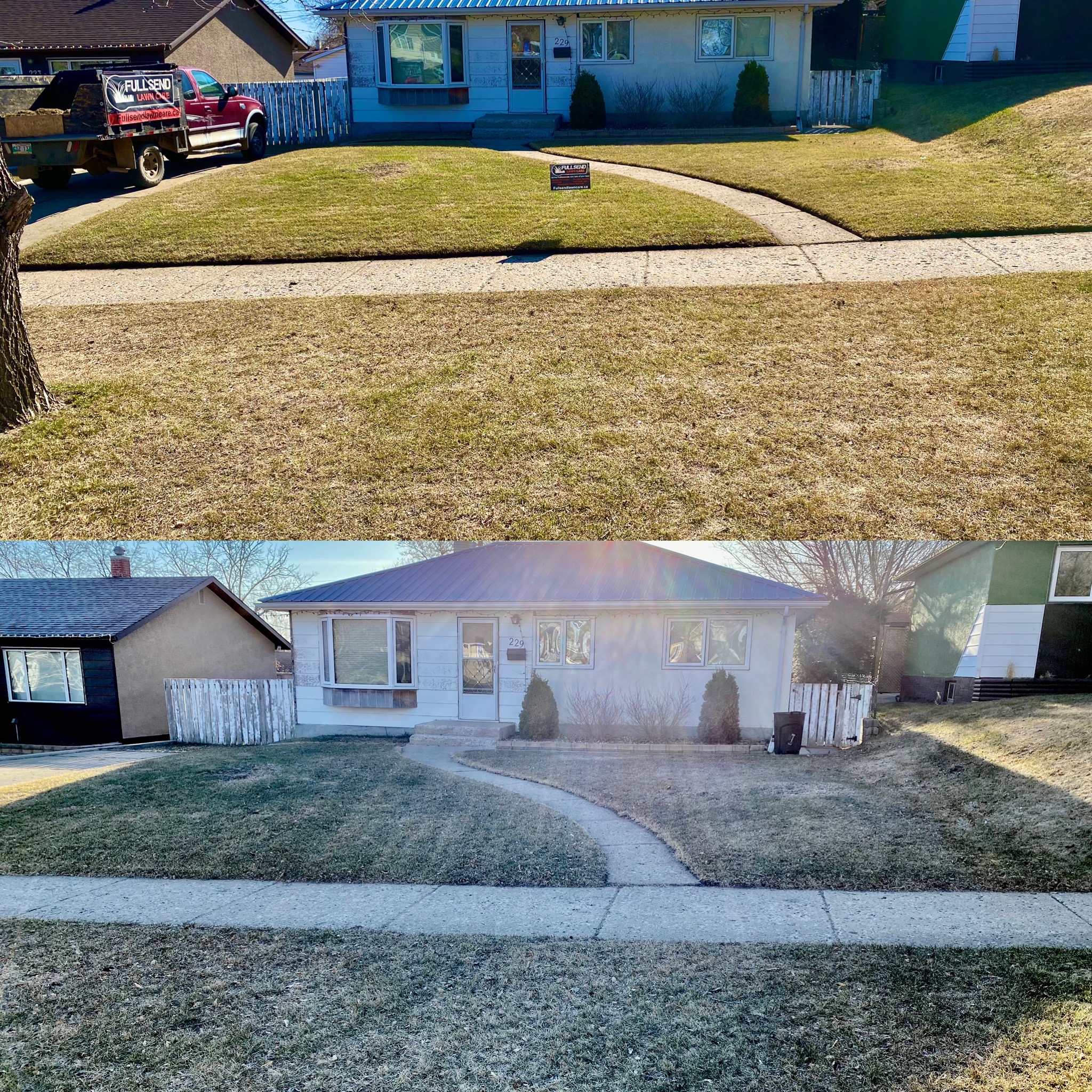 Spring Clean Up
