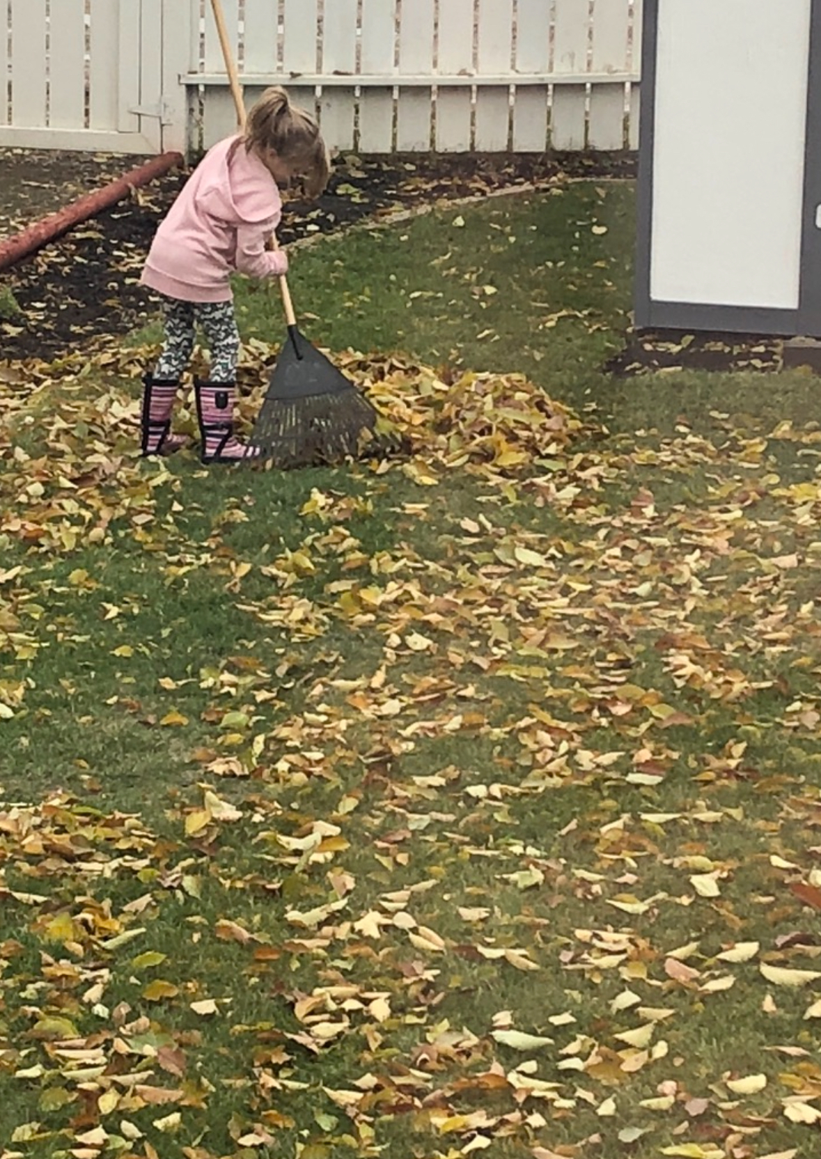 Fall Leaf Cleanup