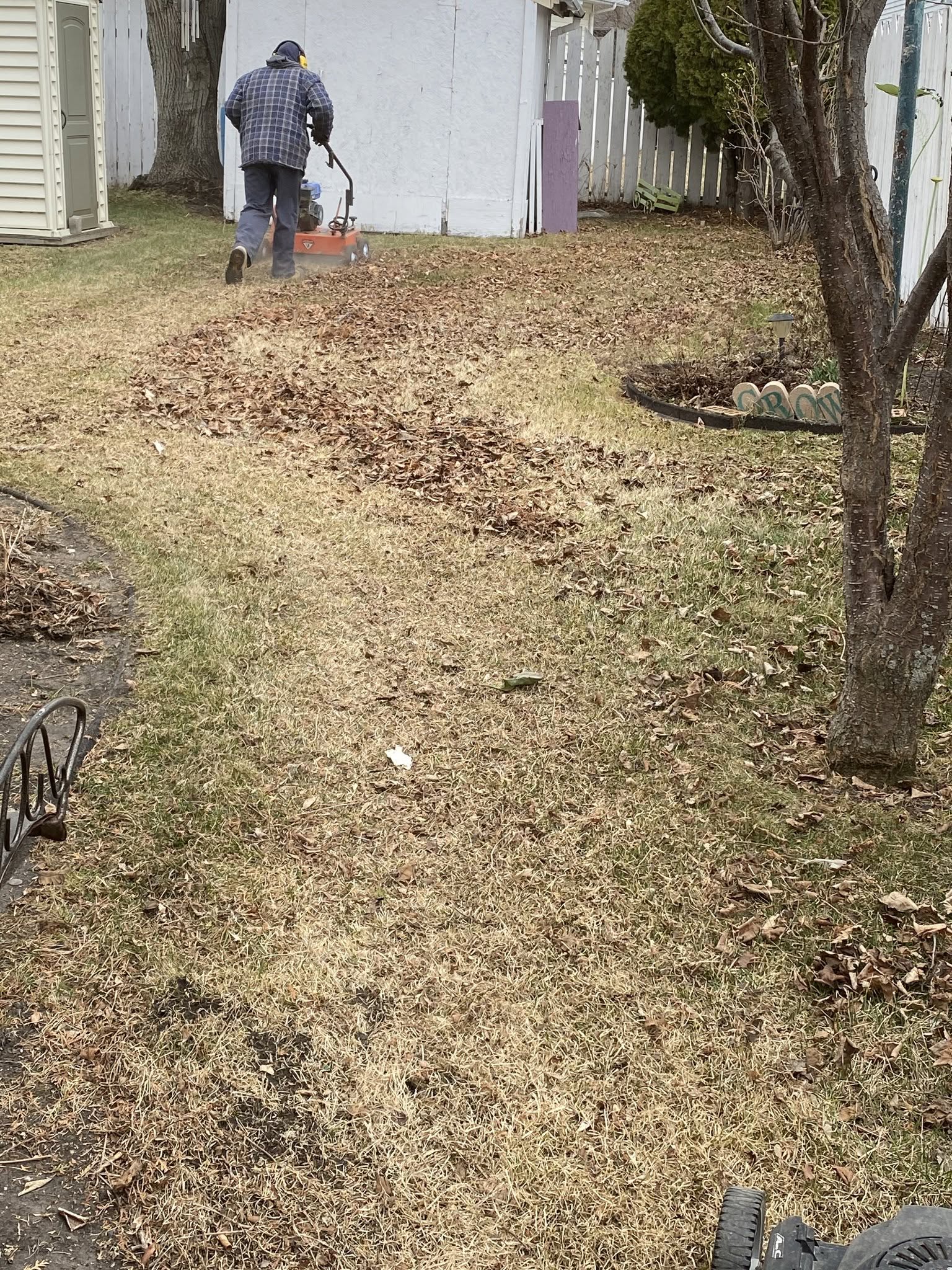 Spring Clean Ups