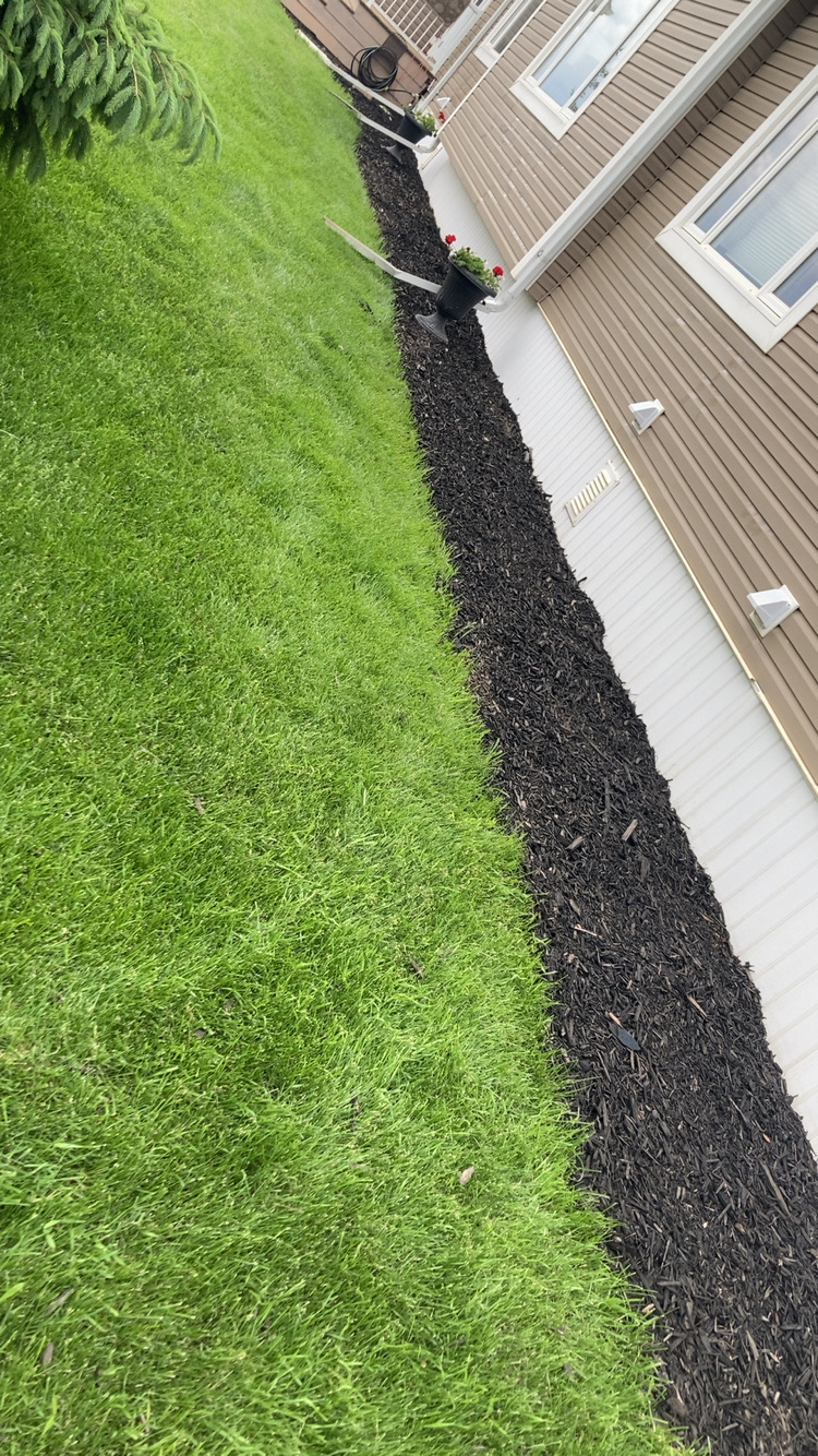 Mulch