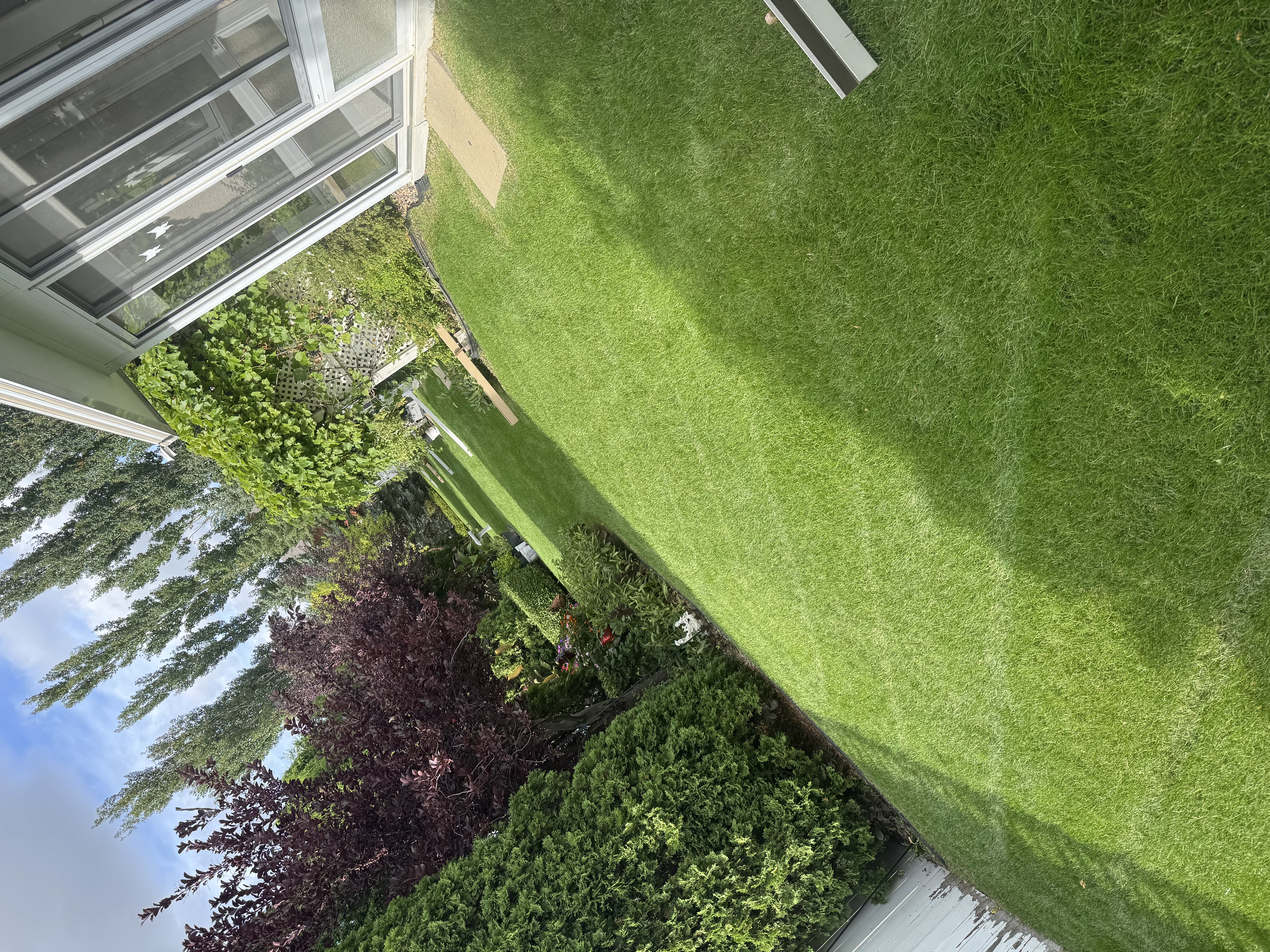 Backyard mow — Brandon