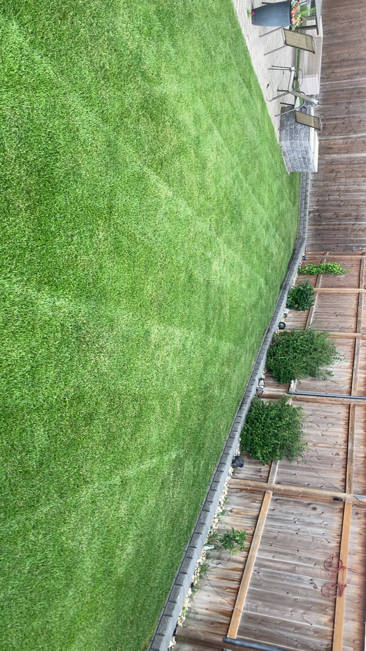 Backyard Transformation