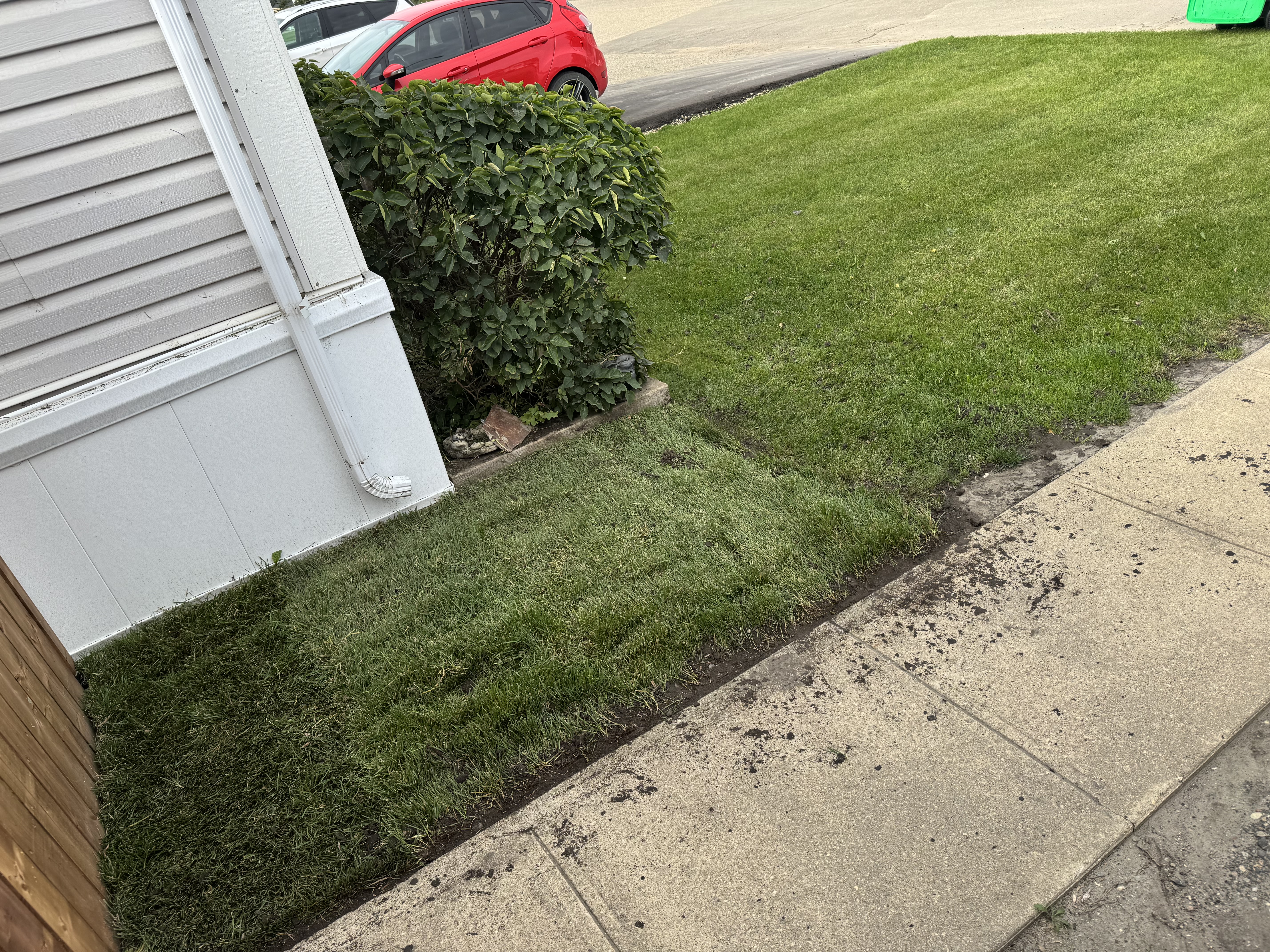 Fresh sod install — Brandon