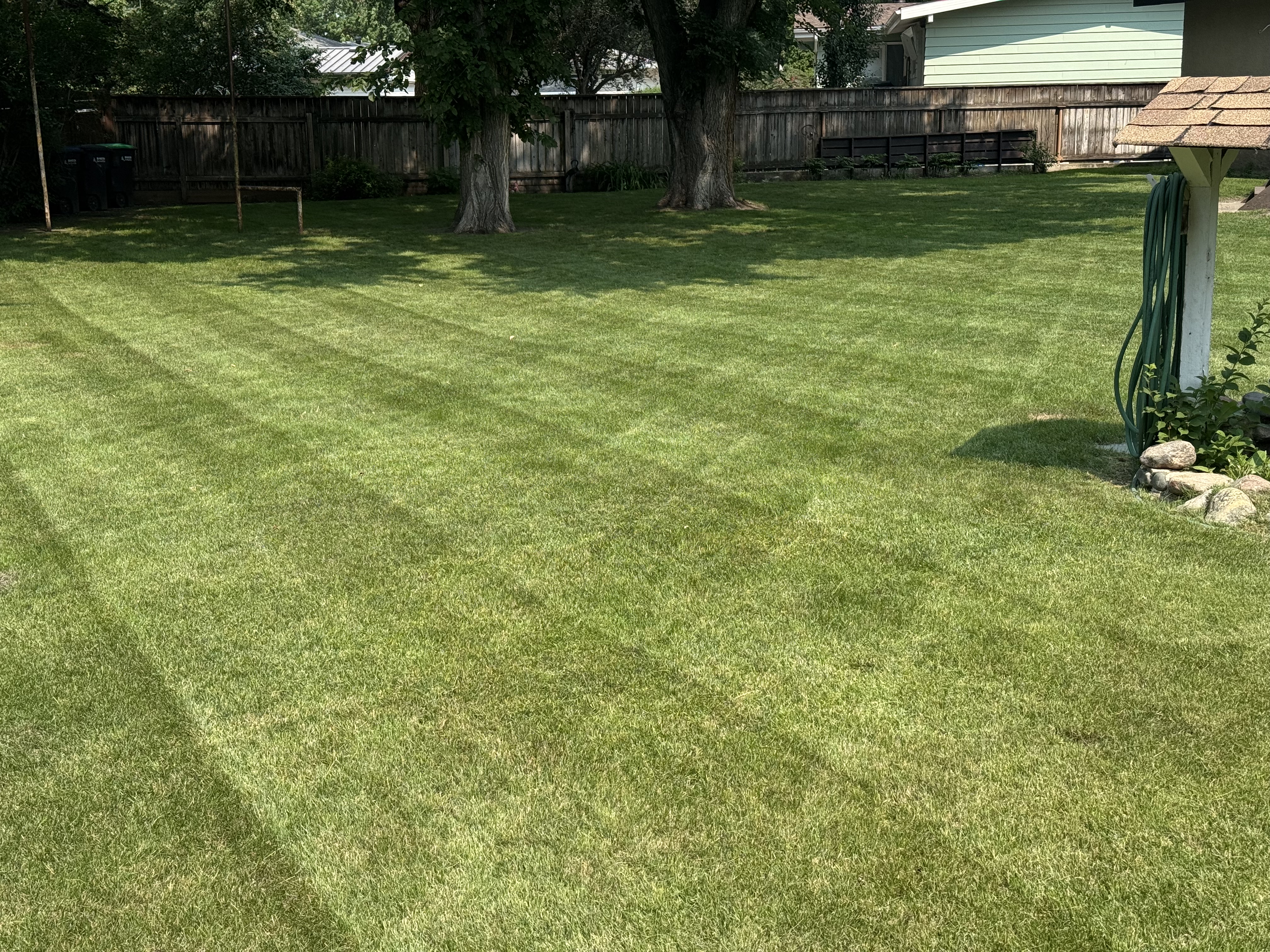 Backyard Striping