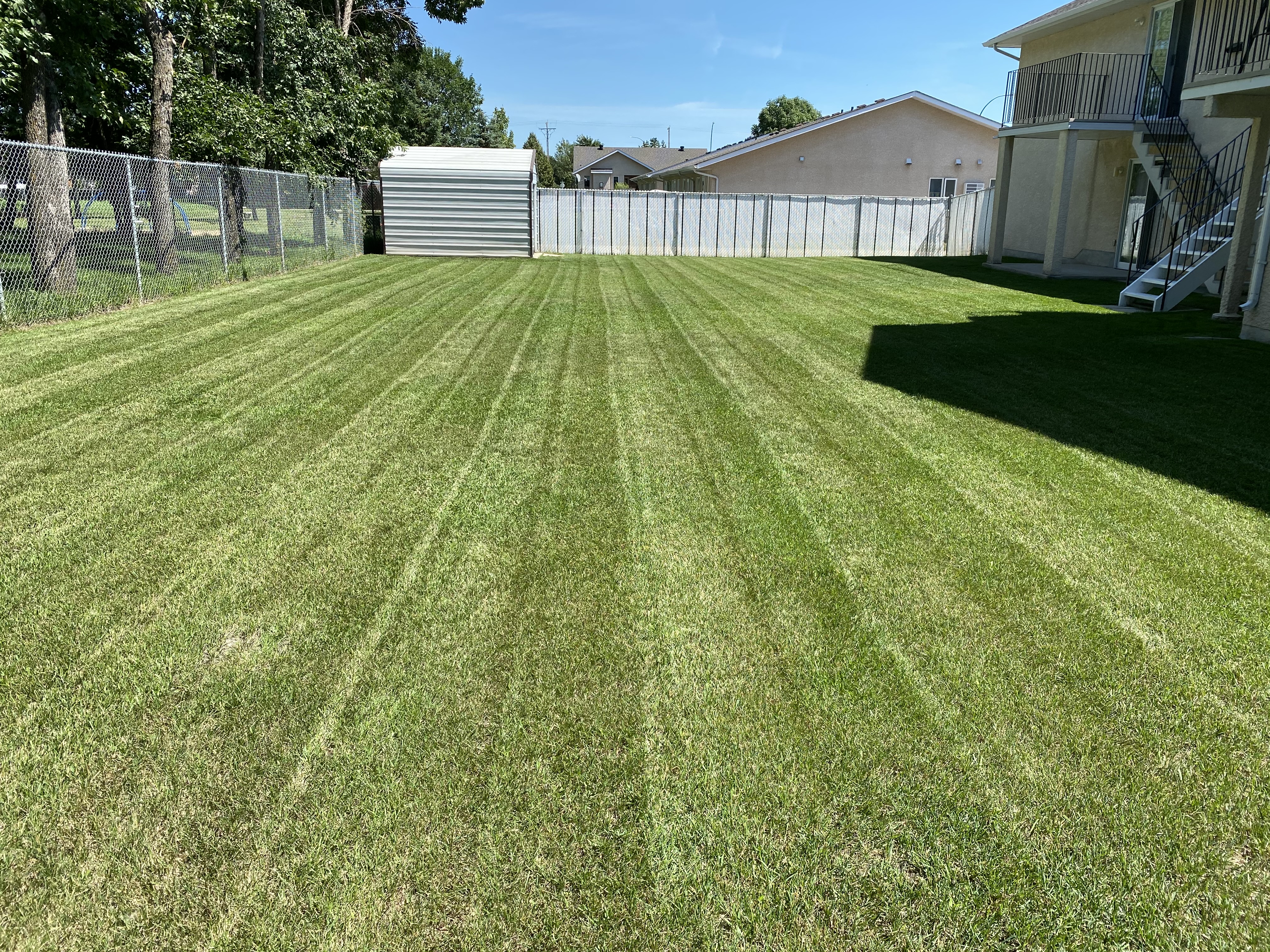 Freshly Striped Backyard