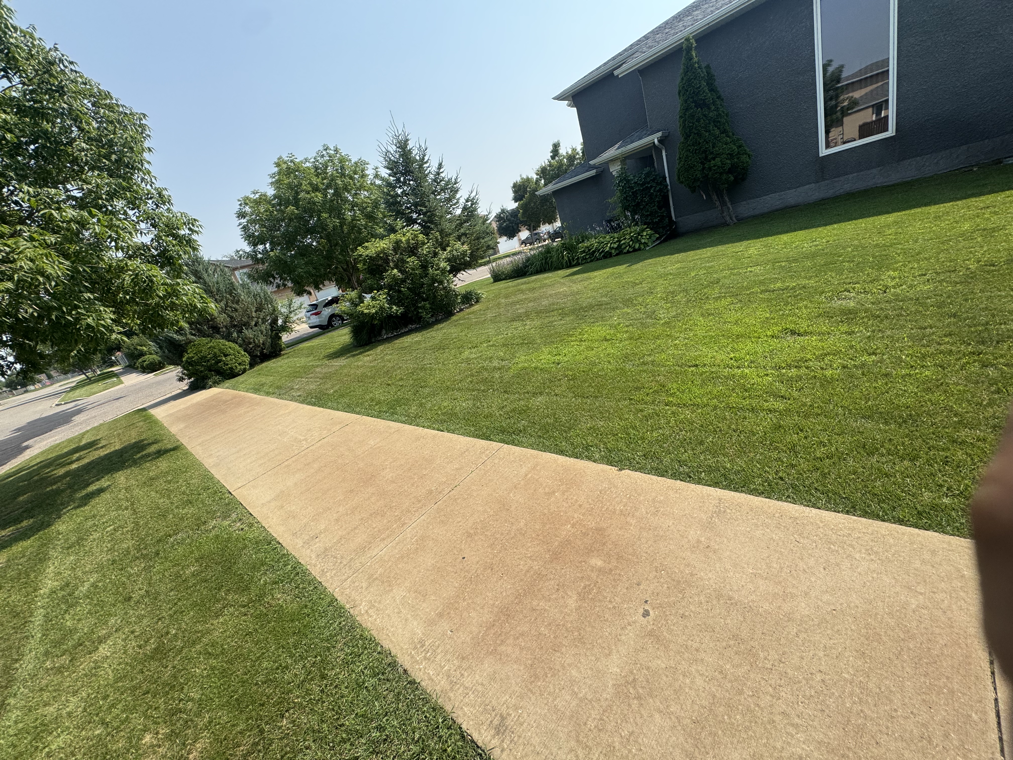 First Mow After a Weed & Feed Application