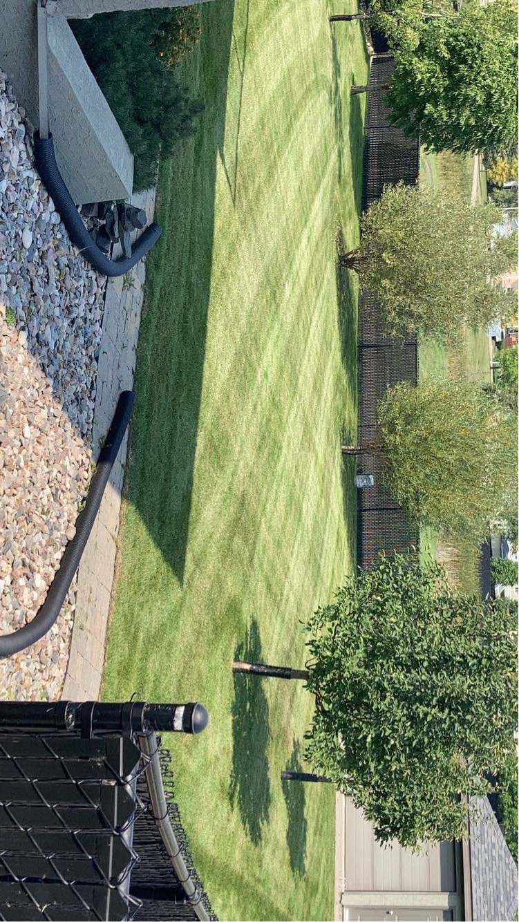 Backyard Finish