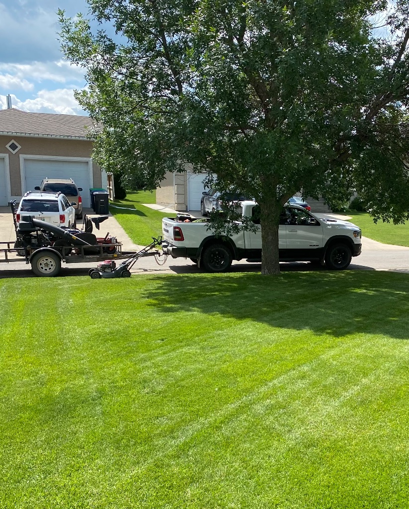 Ultimate Spring Clean Up Package