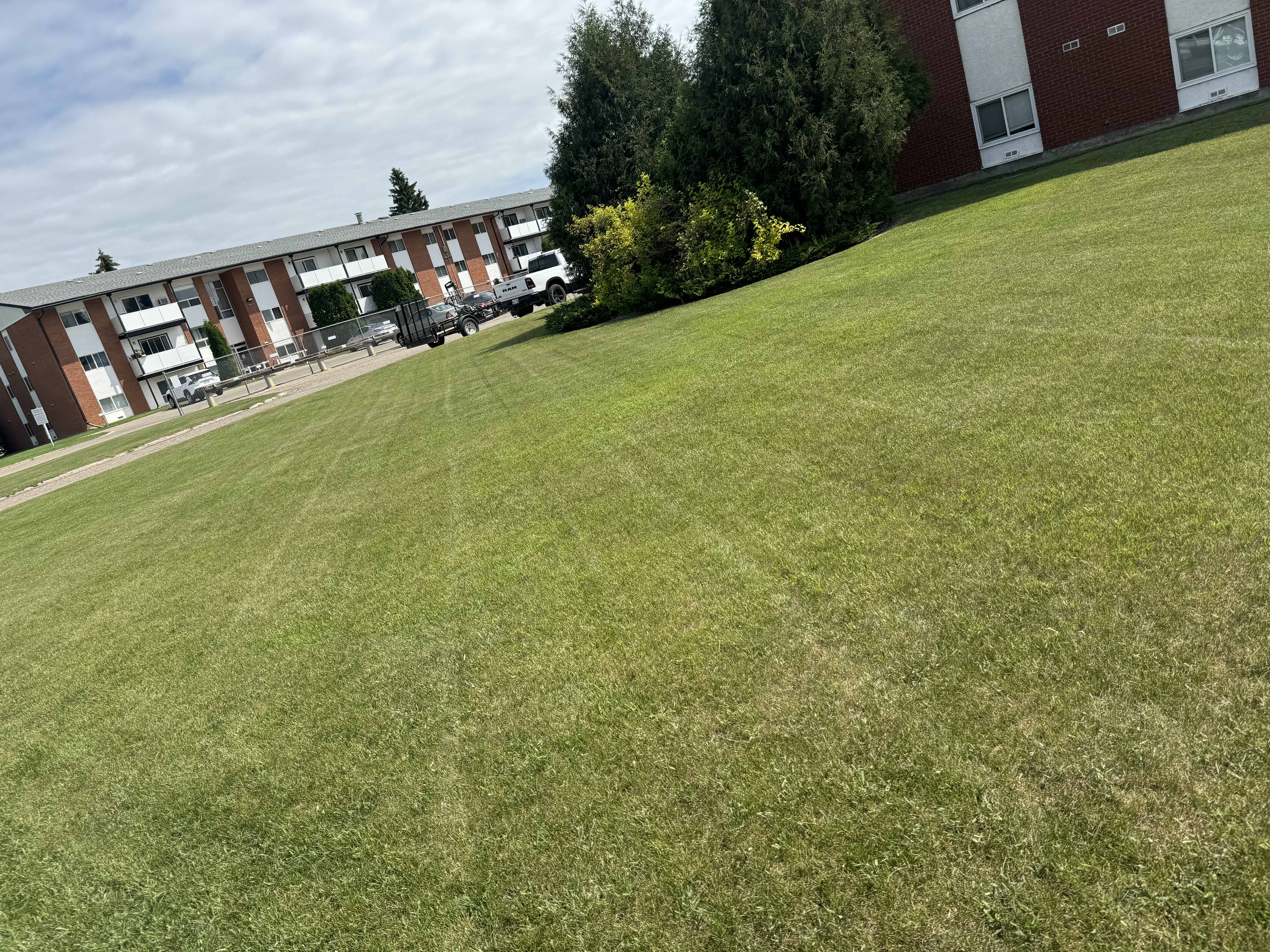 Pro Striping