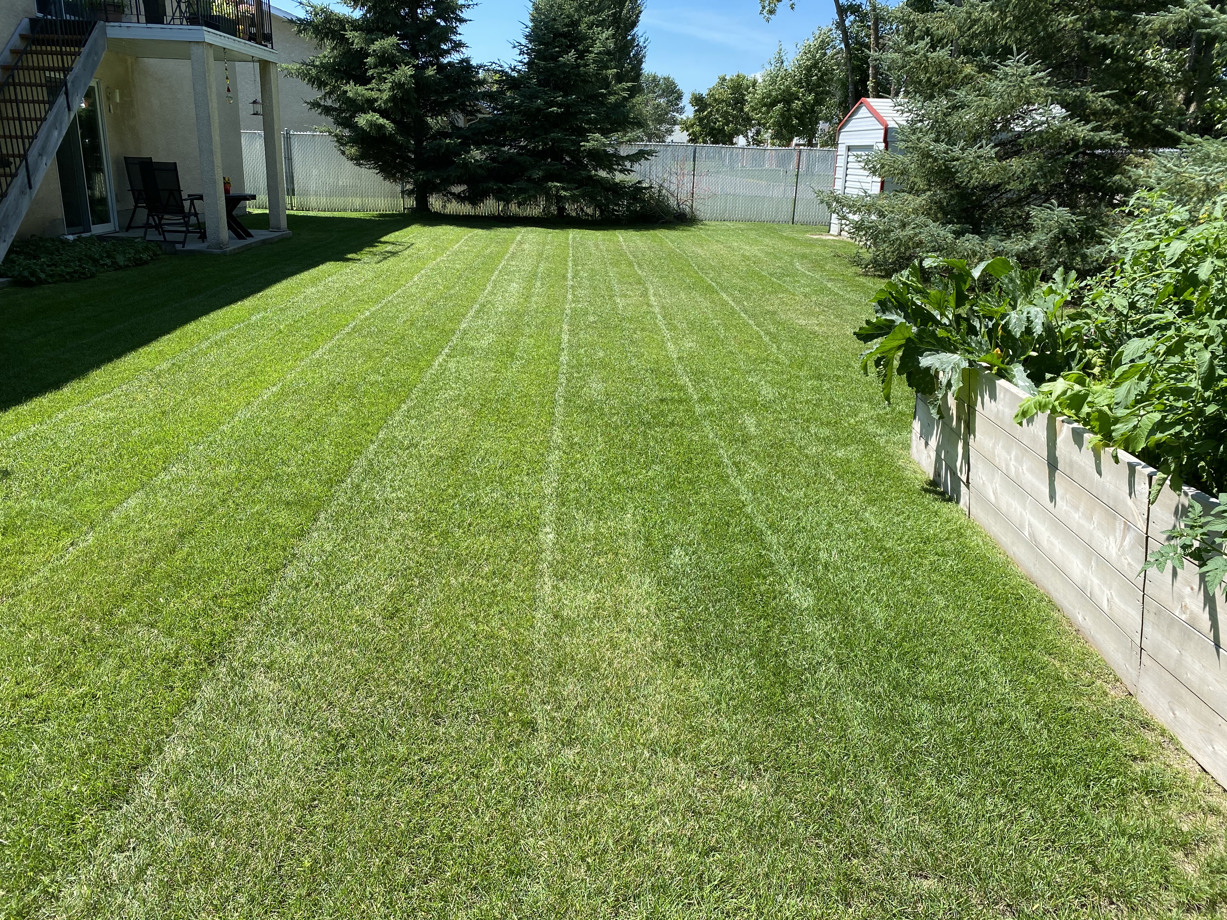 Garden Bed & Striping