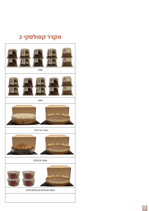 מקרר קפולסקי 3