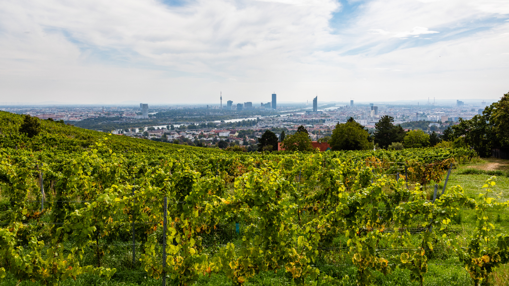 Lage Stammersdorf