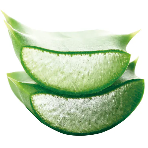 Aloe