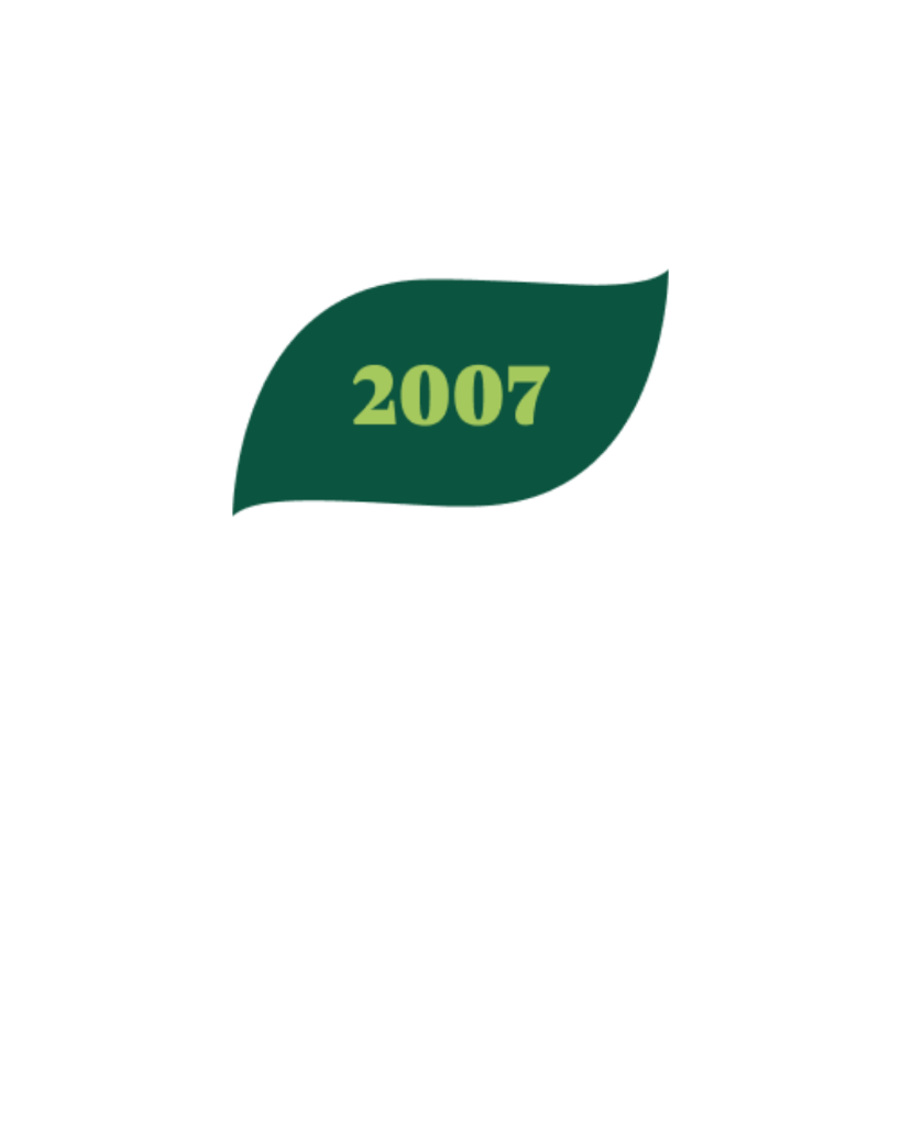 2007