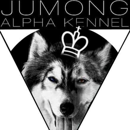 Jumong Alpha Kennel and Pet Transport Services