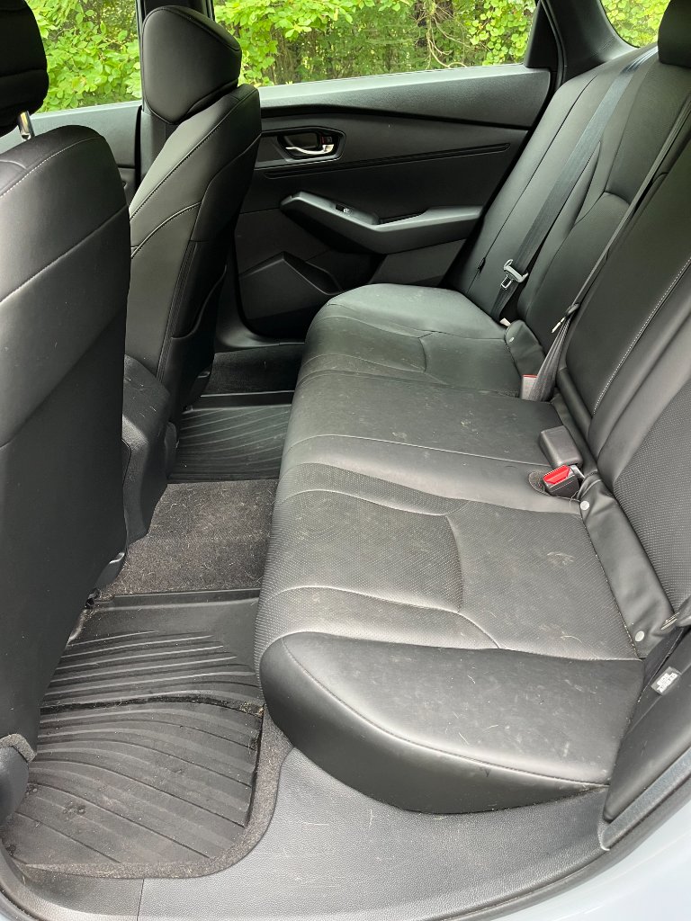 Before — Pet Hair Removal — Sedan