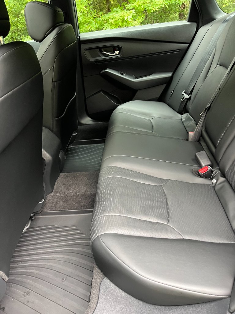 After — Pet Hair Removal — Sedan
