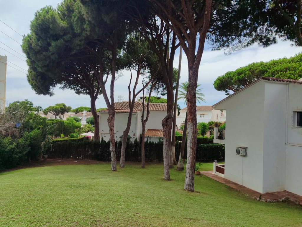 Tuin - domein en tuin met palmbomen vakantieappartement Calahonda