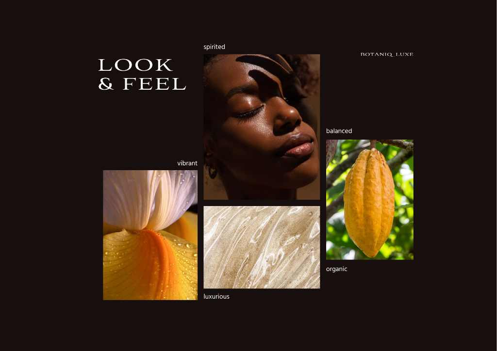 Visual Identity