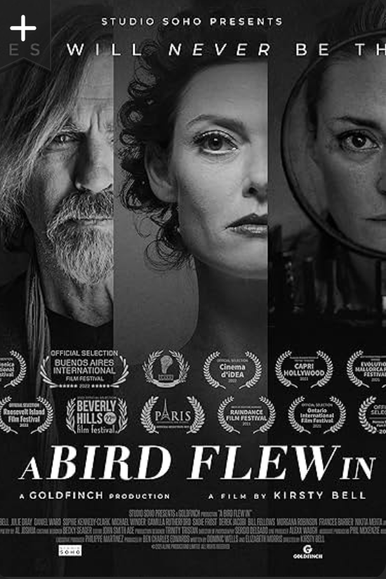 A Bird Flew In film poster