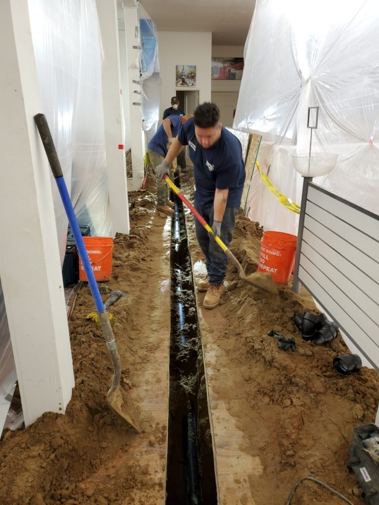 Reasons to choose Pro Bright